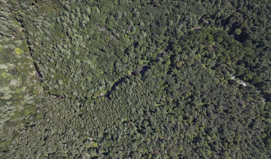 Boodle Hole, Accord, NY 12404 - 0 Beds, 0 Bath