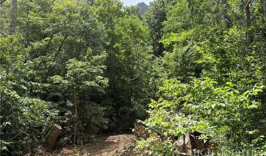 Shanty Springs Road lot 15, Banner Elk, NC 28604 - 0 Beds, 0 Bath