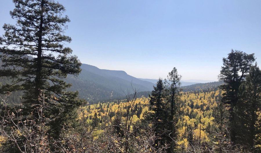 705 NM-120, Angel Fire, NM 87710 - 0 Beds, 0 Bath
