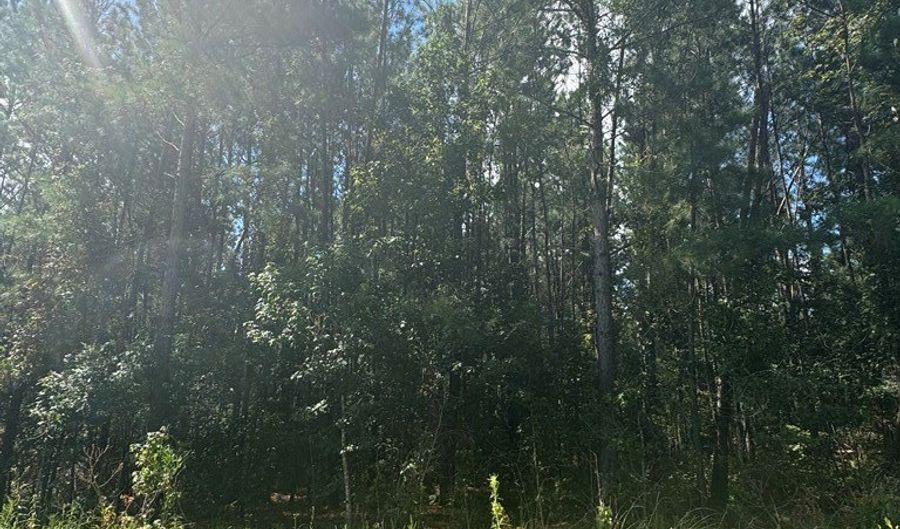 0 Dubberly Rd, Baxley, GA 31513 - 0 Beds, 0 Bath