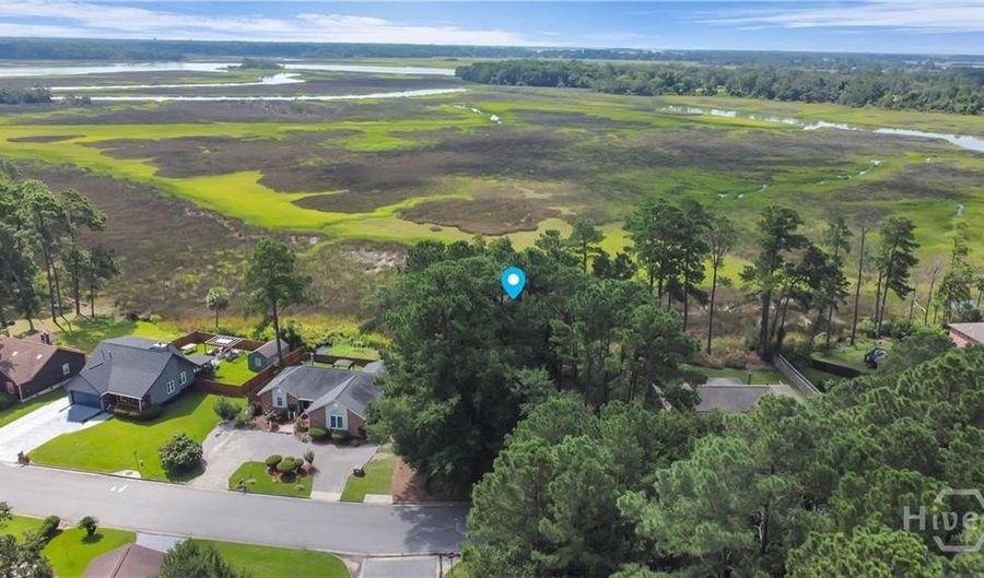 209 Runaway Point Rd, Savannah, GA 31404 - 0 Beds, 0 Bath
