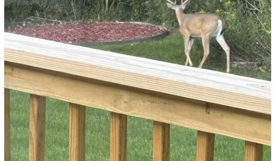 9774 68th Ave, Allendale, MI 49401 - 5 Beds, null Bath