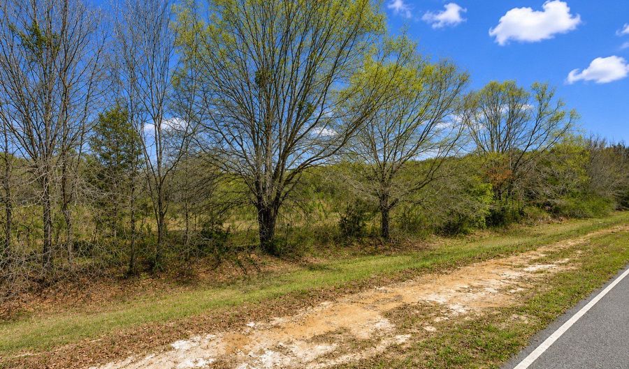 25 69 ACRES Gaissert Rd, Albany, GA 31705 - 0 Beds, 0 Bath
