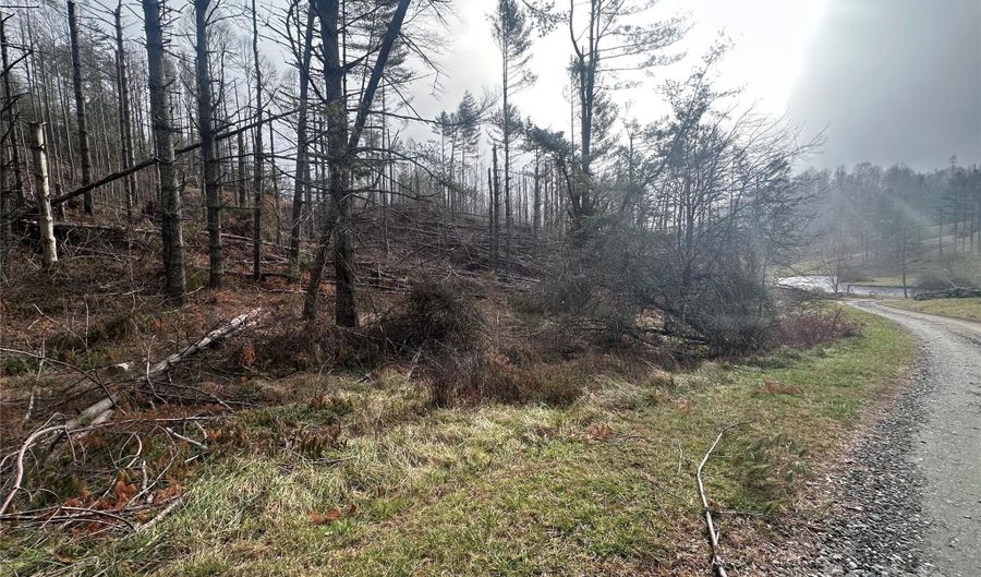 99999 White Pine Ln, Bakersville, NC 28705 - 0 Beds, 0 Bath