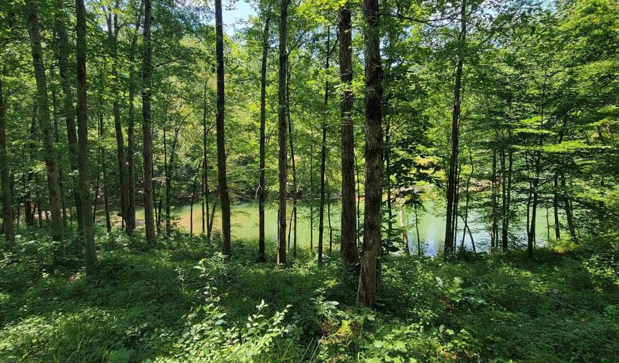 Lot 25 Legendary Parkway, Arley, AL 35541 - 0 Beds, 0 Bath