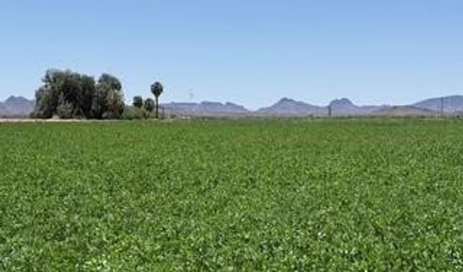 W Desert Rose Road, Arlington, AZ 85322 - 0 Beds, 0 Bath