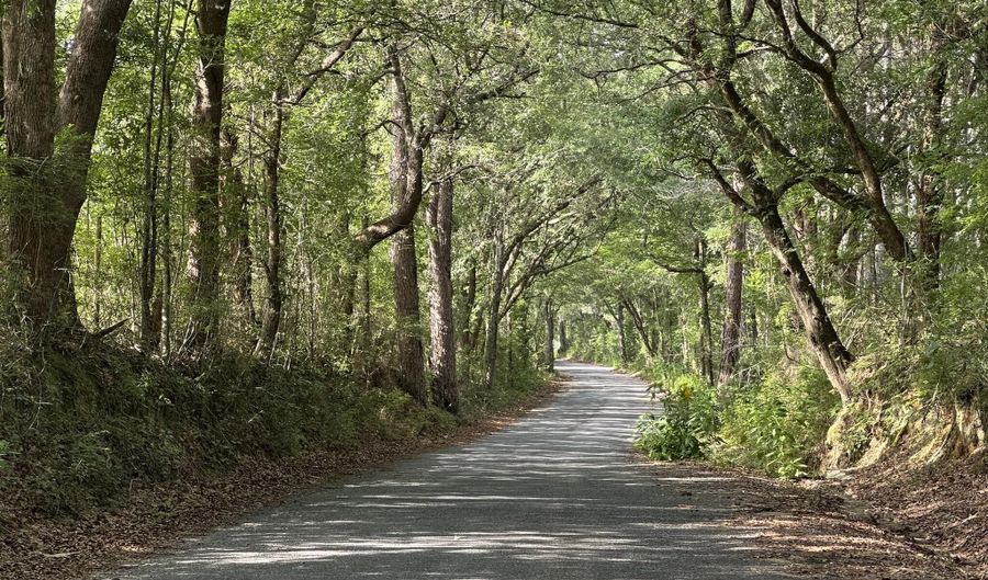 40 Ac +/- Old River Rd, Baker, FL 32531 - 0 Beds, 0 Bath