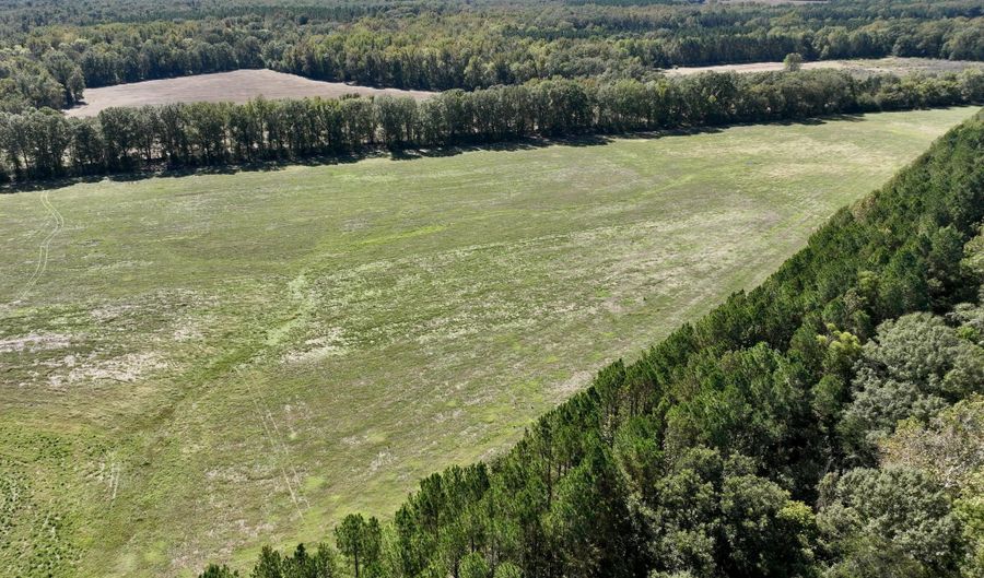 00001 Frank Hall Rd, Bolton, MS 39041 - 0 Beds, 0 Bath