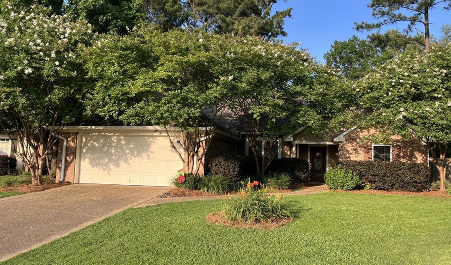 210 Laurel Oak Cv, Brandon, MS 39047 - 3 Beds, 2 Bath