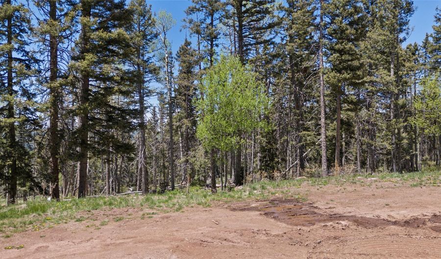 Lot 1267 STARLIGHT OVERLOOK, Angel Fire, NM 87710 - 0 Beds, 0 Bath