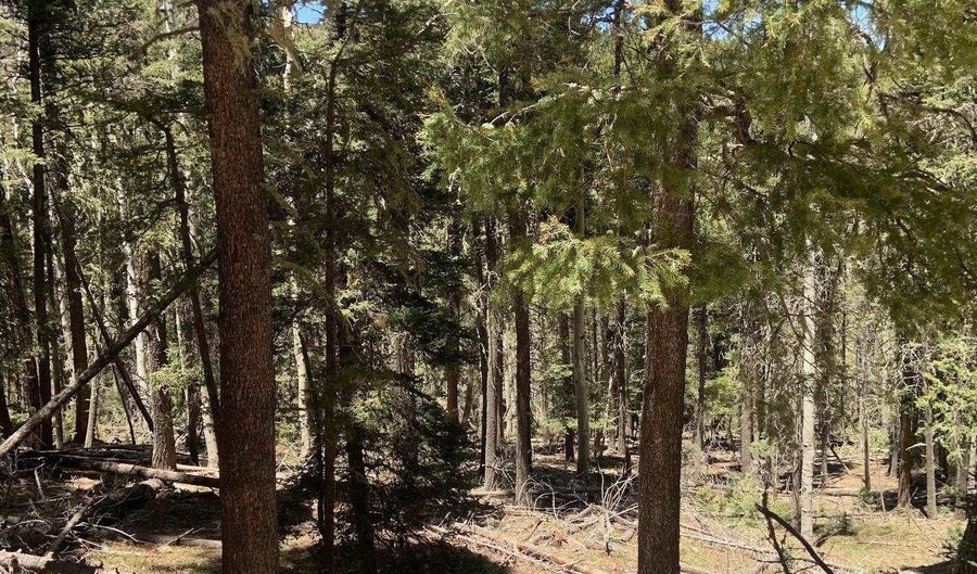 Lot 823 San Felipe Circle, Angel Fire, NM 87710 - 0 Beds, 0 Bath