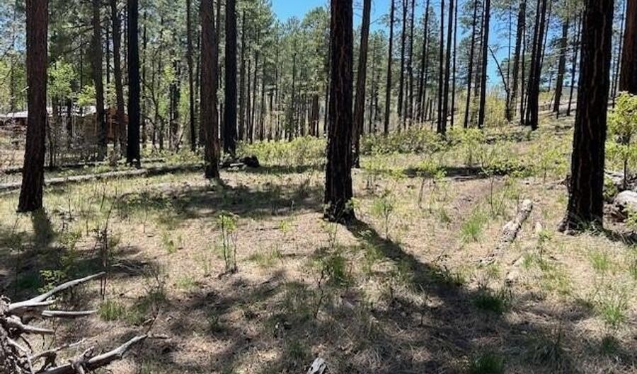 N2122, Alpine, AZ 85920 - 0 Beds, 0 Bath