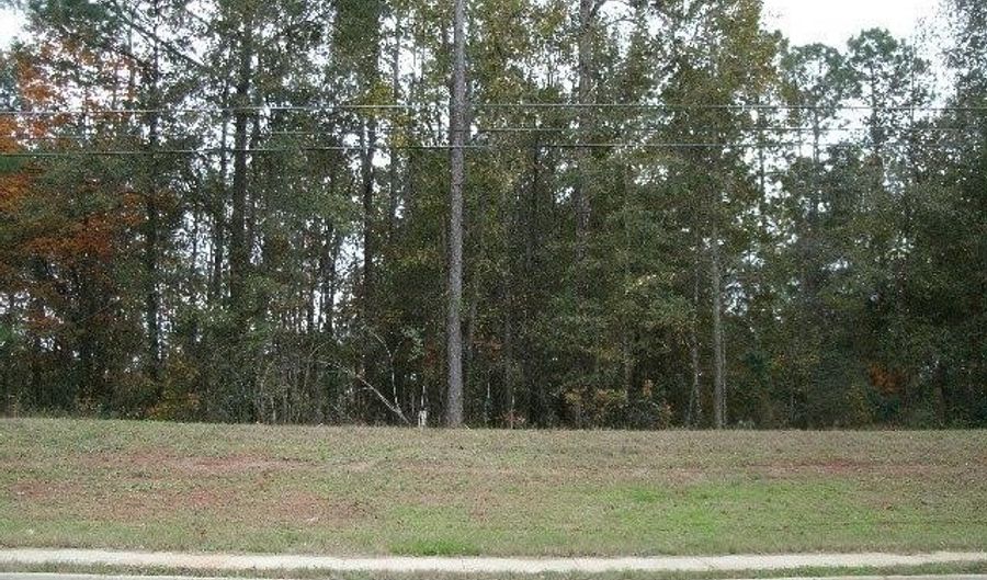 4428 Gillionville Rd, Albany, GA 31721 - 0 Beds, 0 Bath