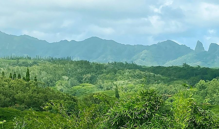 LAIPO RD, Kapaa, HI 96746 - 0 Beds, 0 Bath