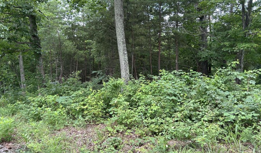 Megans Tr lot 69, Bean Station, TN 37708 - 0 Beds, 0 Bath
