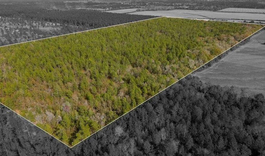 N bob brooks road, Baker, FL 32531 - 0 Beds, 0 Bath