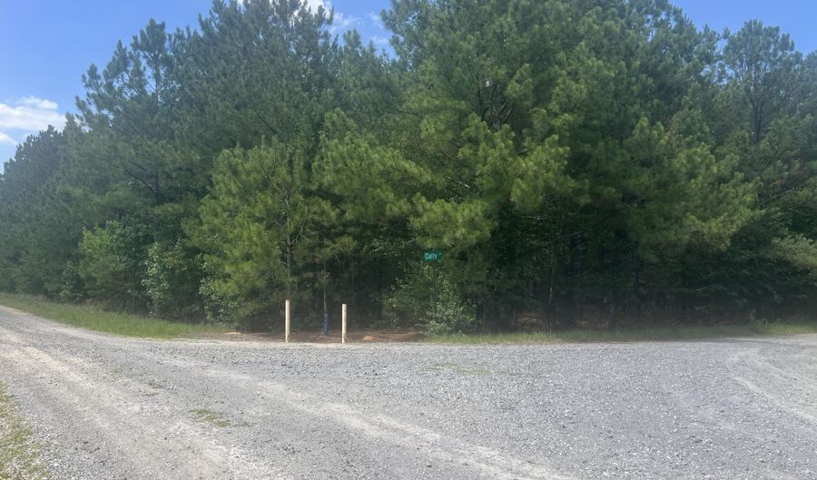 Curly Lane, Bennettsville, SC 29512 - 0 Beds, 0 Bath