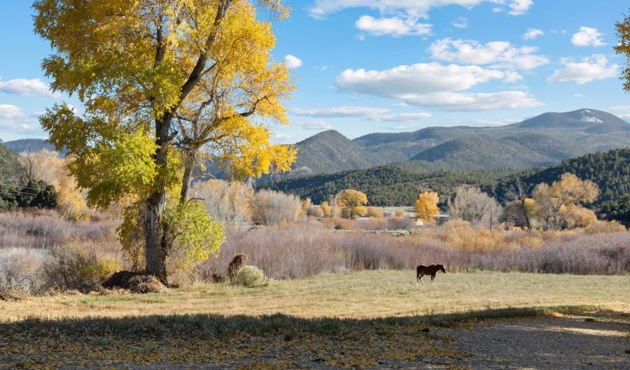 223 Amalia Schoolhouse Rd, Amalia, NM 87512 - 4 Beds, 4 Bath