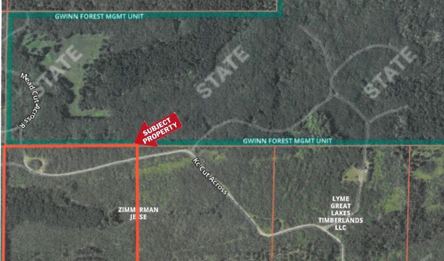 CR 557 40 Road, Arnold, MI 49819 - 0 Beds, 0 Bath