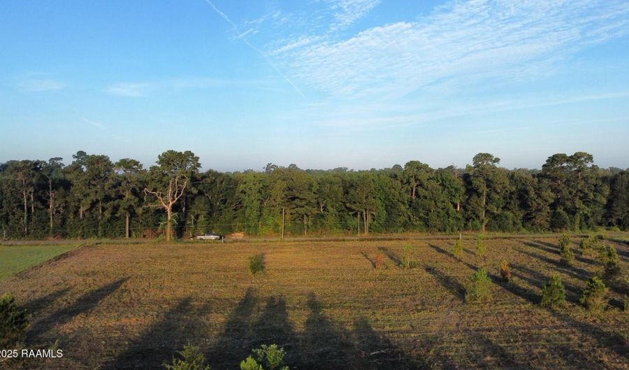 1050 Jolene Rd, Basile, LA 70515 - 0 Beds, 0 Bath
