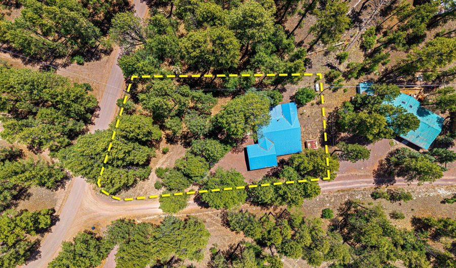 20 County Rd N2120, Alpine, AZ 85920 - 3 Beds, 2 Bath