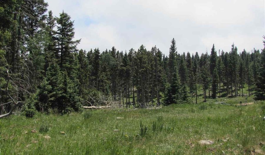 Lot 22 Hinz Drive, Angel Fire, NM 87710 - 0 Beds, 0 Bath