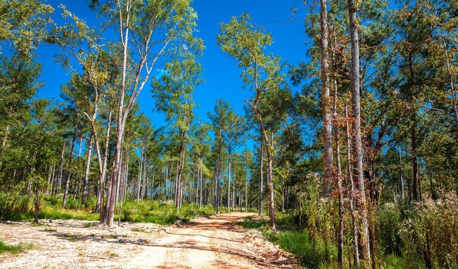 575 Rabbit Pen Dr, Appling, GA 30802 - 0 Beds, 0 Bath