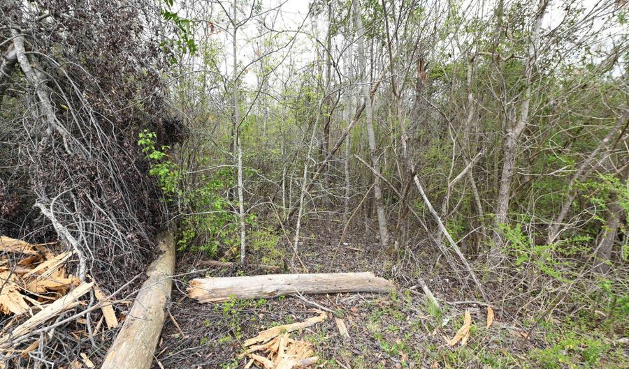 11 Th Ave, Alexander City, AL 35010 - 0 Beds, 0 Bath