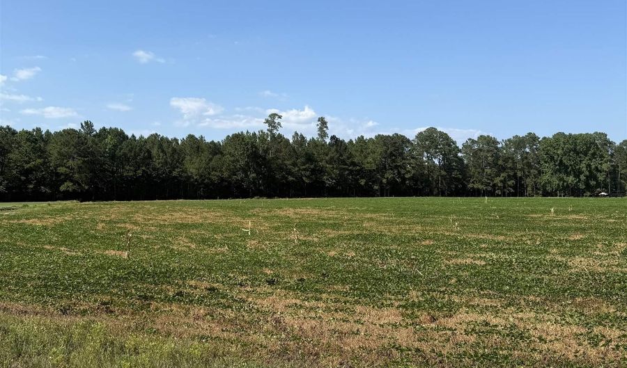 Dupont Rd, Aynor, SC 29511 - 0 Beds, 0 Bath