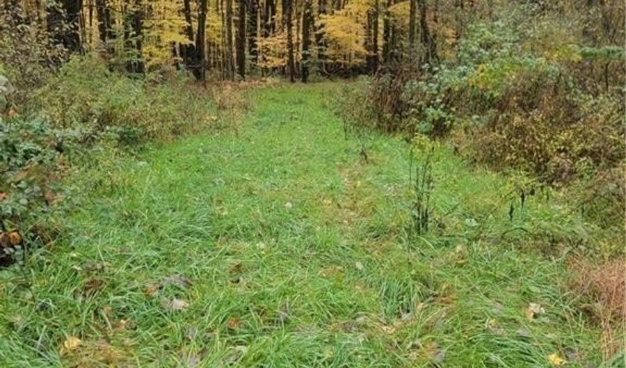 Schaen Drive, Andover, OH 44003 - 0 Beds, 0 Bath