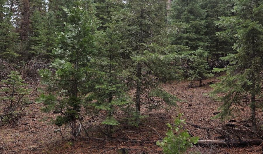 E Yak / Hwy 140 Lane lot 1, Bonanza, OR 97623 - 0 Beds, 0 Bath