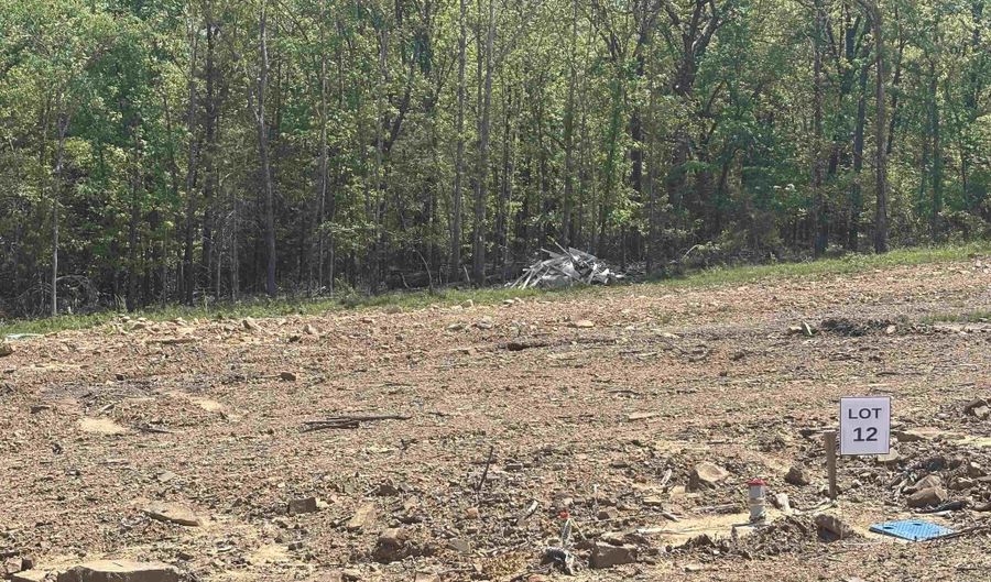 Lot 12 Madeleine Circle, Austin, AR 72007 - 0 Beds, 0 Bath