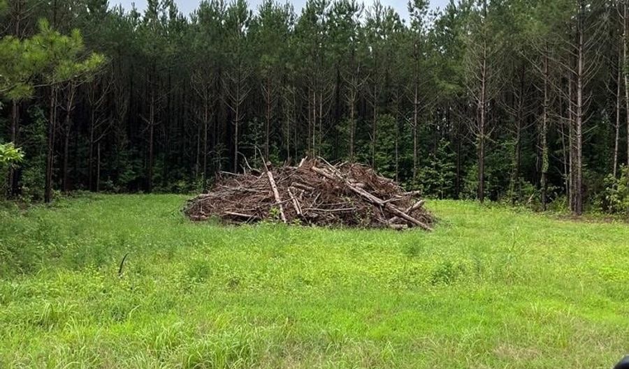 parcel 1 county road 6629, Banks, AL 36005 - 0 Beds, 0 Bath