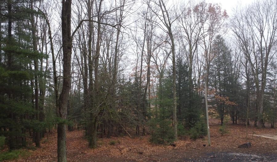 N10595 HWY 45, Aniwa, WI 54414 - 0 Beds, 0 Bath