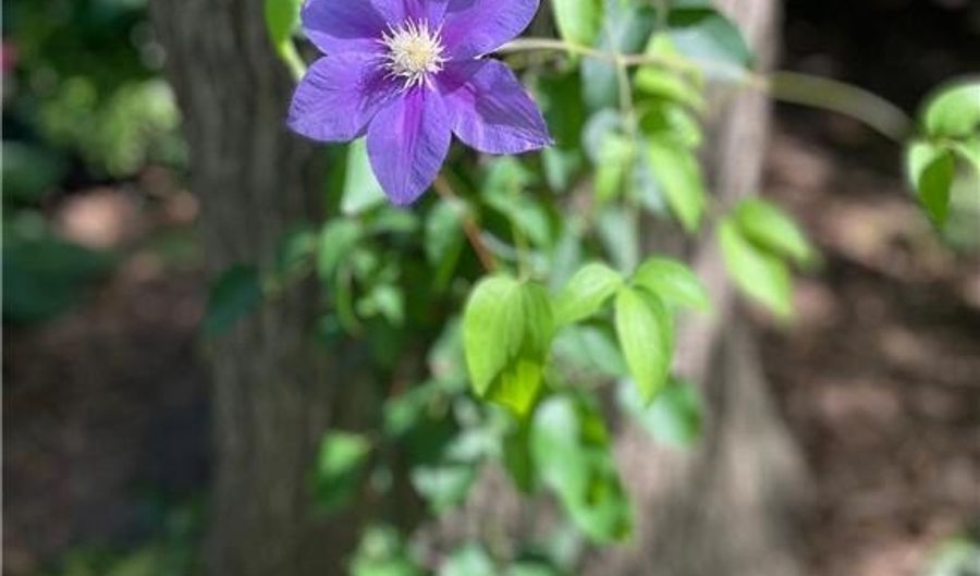 602 6th Ave SW, Austin, MN 55912 - 4 Beds, 4 Bath