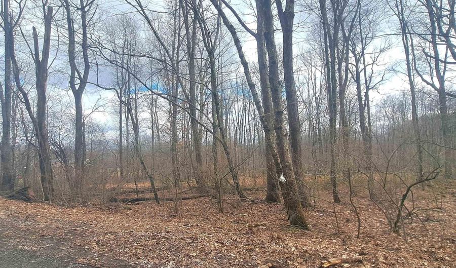 Glade Run Road, Albright, WV 26519 - 0 Beds, 0 Bath