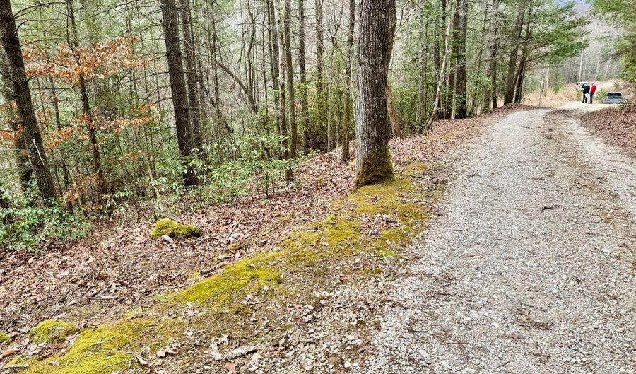 Lot # 133 Peaceful Valley Rec Retreat, Beattyville, KY 41311 - 0 Beds, 0 Bath