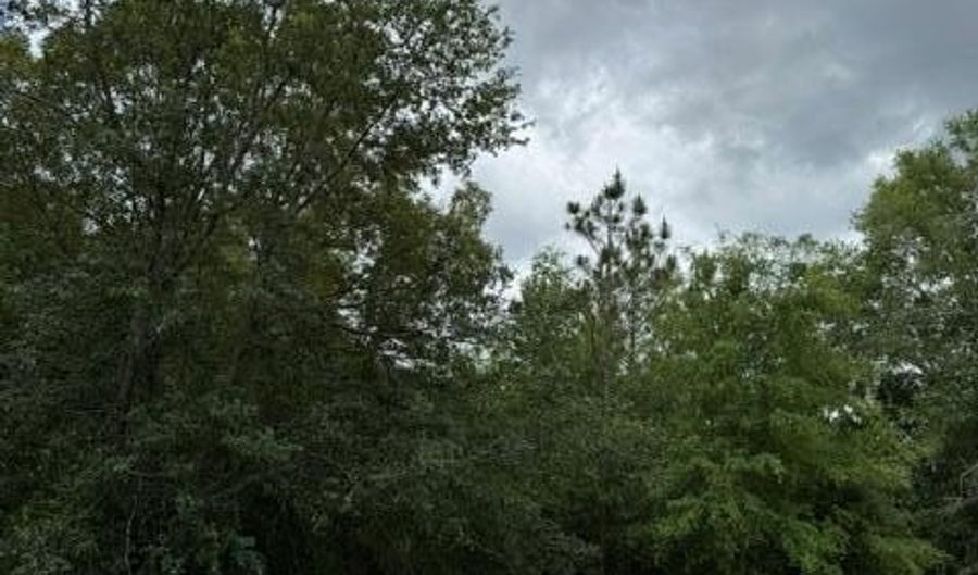 Old Pelham Road, Bainbridge, GA 39817 - 0 Beds, 0 Bath