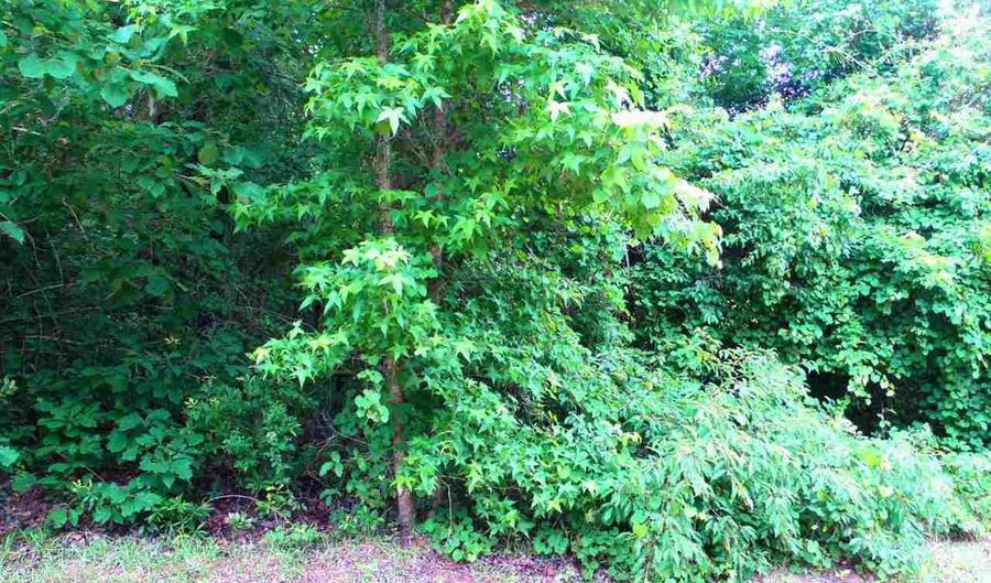 Lot # 4 Gee Valley Dr, Timmonsville, SC 29161 - 0 Beds, 0 Bath