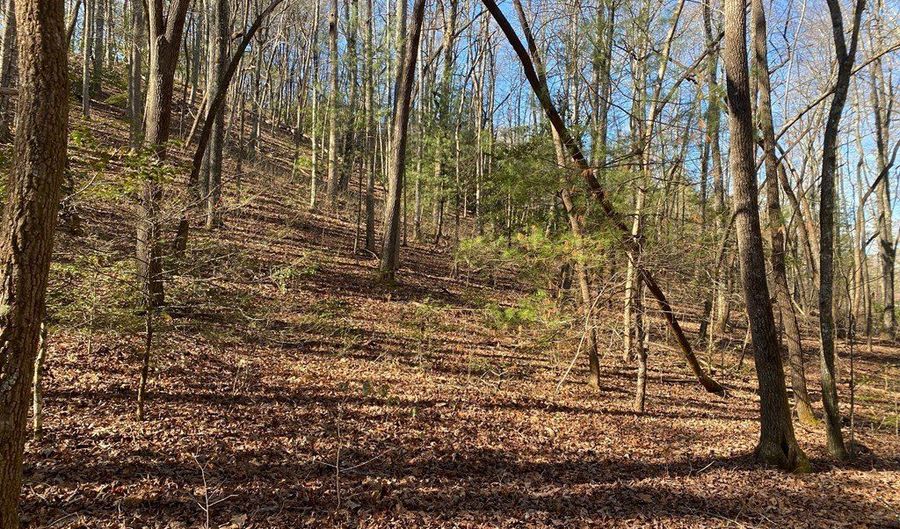 Collett Wood Cove lot 4-18, Andrews, NC 28901 - 0 Beds, 0 Bath