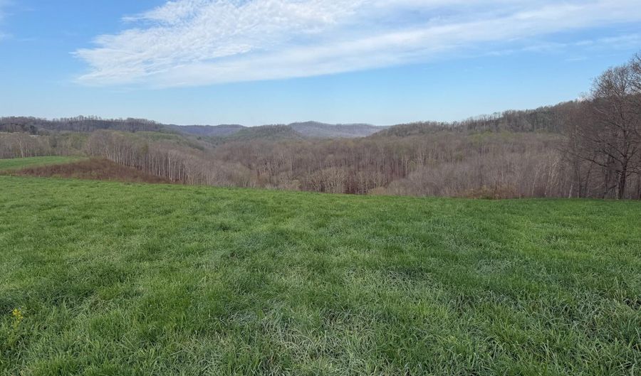1999 Snake Run Rd, Alderson, WV 24910 - 0 Beds, 0 Bath