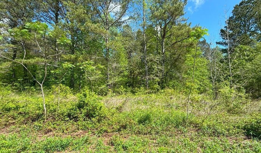 223 Rivers Edge Ln, Benton, TN 37307 - 0 Beds, 0 Bath