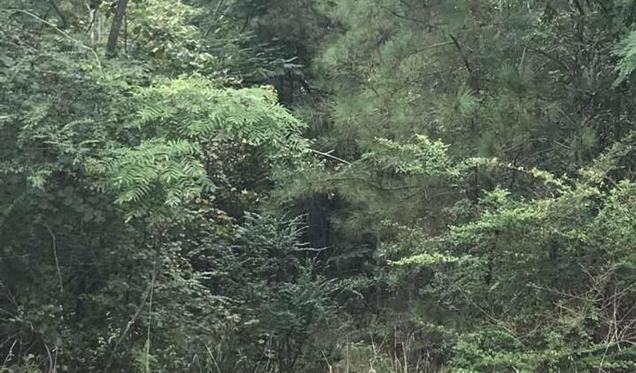 CONSTELLATION AVENUE lot 1, Alpine, AL 35014 - 0 Beds, 0 Bath
