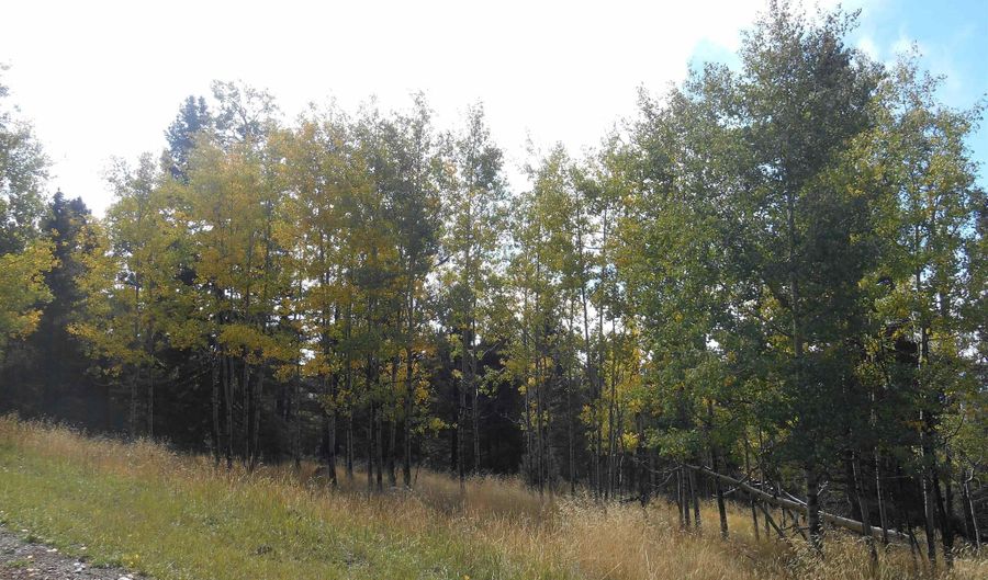 Lot 1287 El Camino Real, Angel Fire, NM 87710 - 0 Beds, 0 Bath