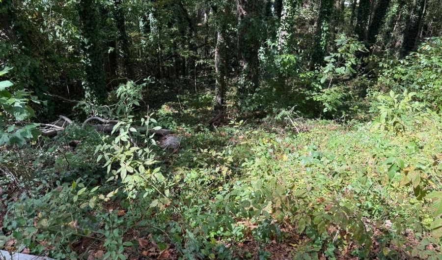 Malvin Drive SW, Austell, GA 30168 - 0 Beds, 0 Bath