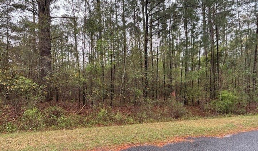 Lot 2 Jacquelyn Court, Bainbridge, GA 39819 - 0 Beds, 0 Bath