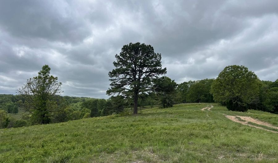 Co Rd 321 Route 5, Ava, MO 65608 - 0 Beds, 0 Bath