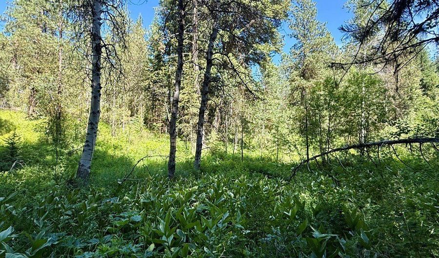83 Panorama Dr 83, Cascade, ID 83611 - 0 Beds, 0 Bath