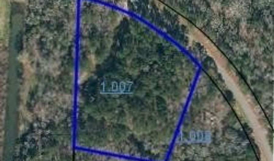 3170 Co Rd 53, Abbeville, AL 36319 - 0 Beds, 0 Bath