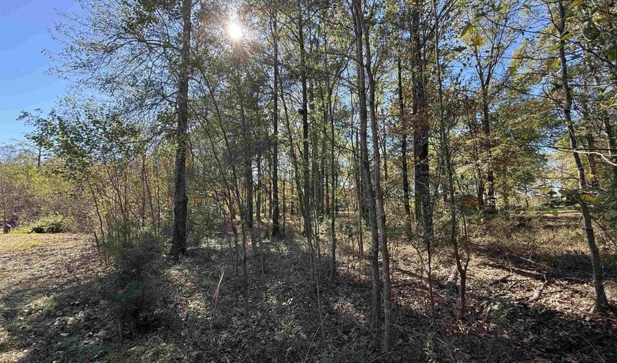 0 Lot 3 PLATTS Lndg, Bernice, LA 71222 - 0 Beds, 0 Bath
